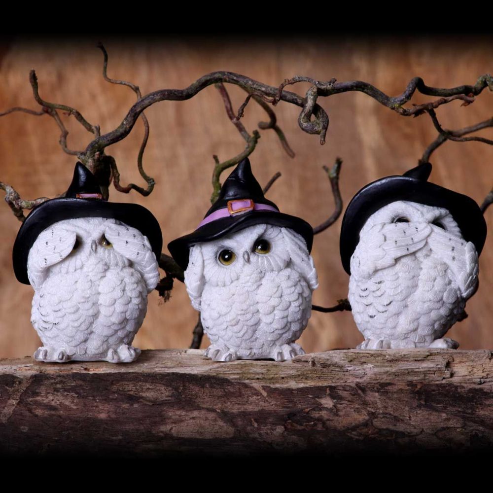 Nemesis Now - Three Wise Feathered Familiars Dekorative Figuren - Eule - Mehrfarben